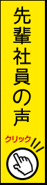 先輩社員の声